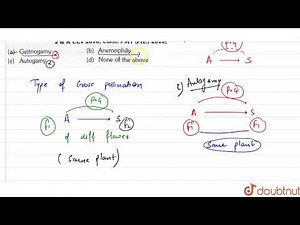 Pollination by wind is called