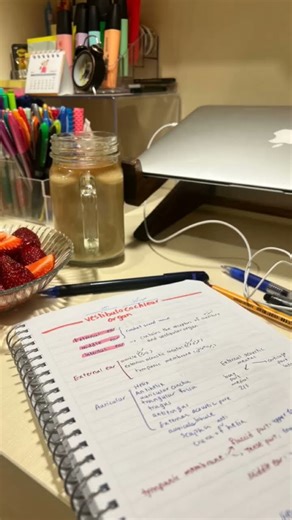 #motivation #study #viral #neet #viralvideo #upsc #video #shortvideo #shorts #reels #studyismylife