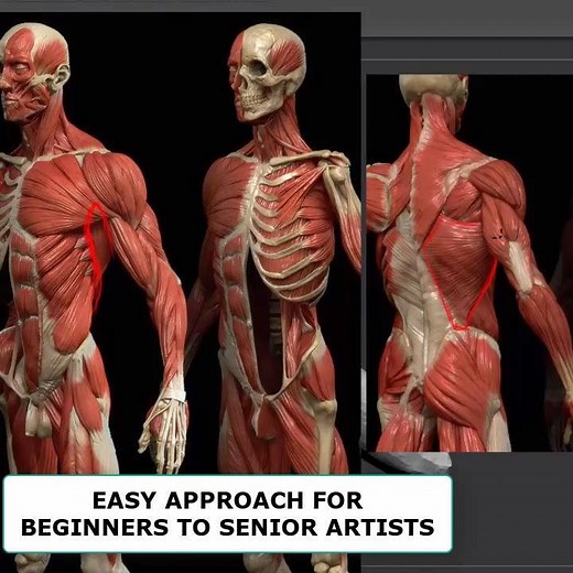 Learn digital sculpting, human anatomy, design and rendering using zbrush and photoshop. 🔥 gumroad.com/grassettiart For more videos follow me on Instagram.com/rafagrassetti I’ve been getting a lot of messages about video breakdowns and tutorials, I created this course divided into 13 modules with more than 4.5 hours where I explain the entire process that I use in my characters, from the basics to advanced rendering and composing techniques. Get it at gumroad.com/grassettiart follow me on faceb