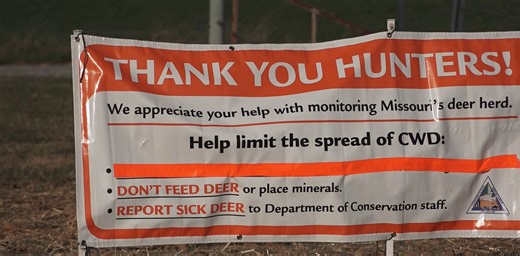 Missouri deer season opens with mandatory CWD testing