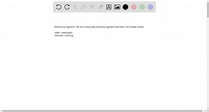 Name two components of the digestive system that perform...