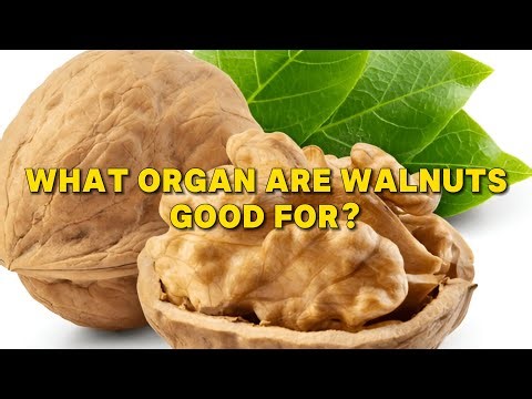 What Organ Are Walnuts Good For? Your Brain, Heart, and More!