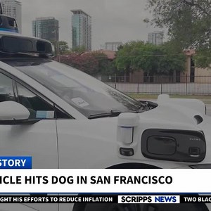 Viral Waymo crashes put driverless cars in the spotlight