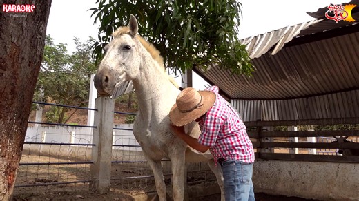 SIGLO XX – El Año Viejo (Video Oficial 2025) Estreno, parte 4 | Grupo Siglo XX