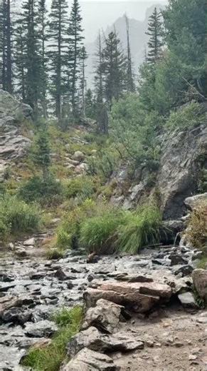 Discovering a Misty Mountain Stream, Bear Lake Trail, Rocky Mountains from Caitlan B. 🏞️