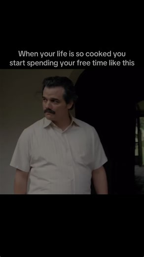 Coping with Stress Through Memes