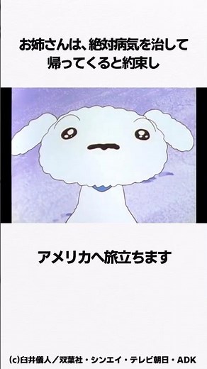 【クレヨンしんちゃん】『シロの愛情物語だゾ』をサクッと紹介 泣ける感動回 #クレしん #神回