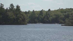 One bill to combat invasive species in Maine lakes fails, but another is approved