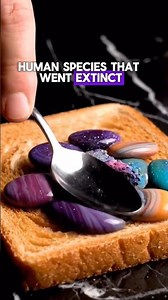 HUMAN SPECIES THAT WENT EXTINCT 🧐🧬 #toptrending#didyouknow#viral #viral#video#extinct#wildlifefacts