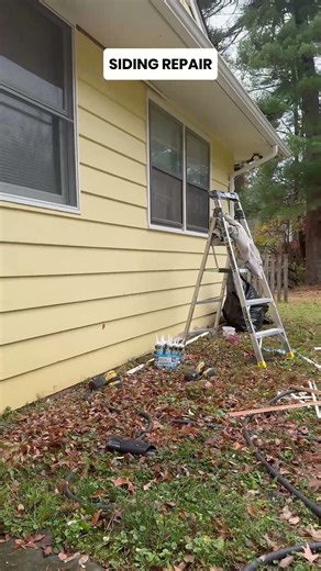 Siding Repair That Changes Everything 🏡