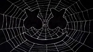 247K views · 2.6K shares | Halloween weekend was a blast on the ritual tour. Met so many of you guys <3 | marshmello | Facebook