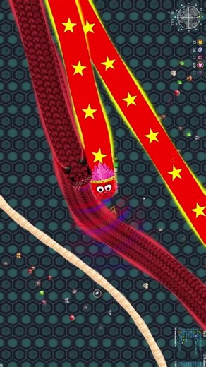 #146 RẮN SĂN MỒI | BẮT RẮN TO | WORMZILLA IO