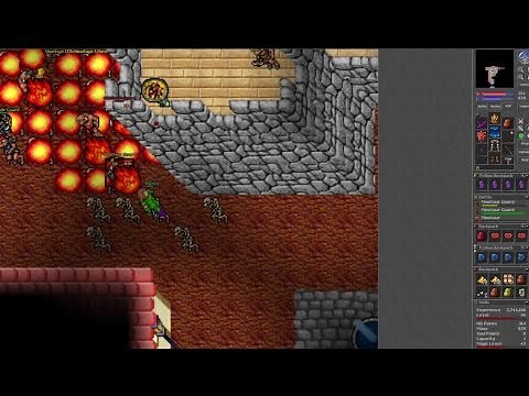 Tibia 7.4 Elder Druid hunting mintwallin