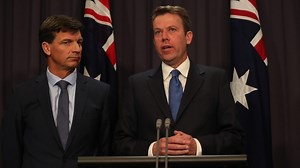 Government announces NDIS fraud squad