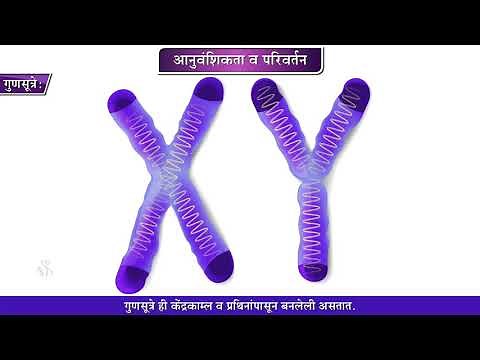 9th Science | Chapter#16 | Topic#02 | आनुवंशिकता | Marathi Medium