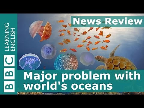 Major problem with world's oceans: BBC News Review