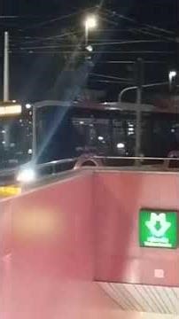 SHORT - BUS, LONGEST TROLLEYBUS, TRAM, TRAIN