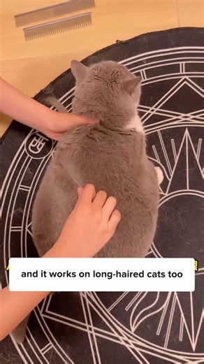 Cuddles Meow on Instagram: "A brush that does it all?! 🫣😻 Comment “comb” and I’ll DM the 🔗 to you instantly! Or simply search Stainless Steel Comb on our site ✨"