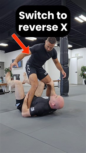 1.1K views |  Switch from Single Leg X to Reverse X Professor Brian...