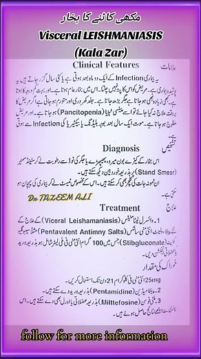 Emergency Care: Pentamidine Nebulizer Treatment for Visceral Leishmaniasis