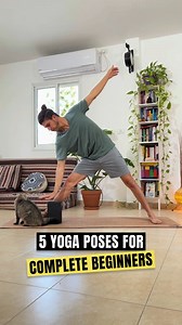 67K views · 5.8K reactions | You don't have to be a yoga expert to get started. These beginner yoga poses will help you improve your flexibility, strength, and peace of mind! 律 Ready to finally get started with yoga, get strong and STICK with it? If so, my beginner's yoga program is for you  Click the link below to learn more:  https://www.idankirshner.com/z2y | Idan Kirshner | Facebook