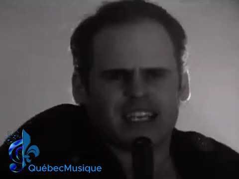 Vilain Pingouin - Le train