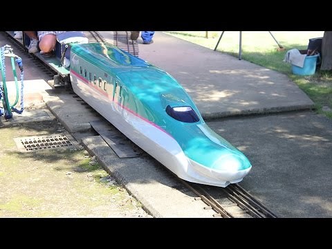 市川市動植物園のミニ鉄道（ミニSL、新幹線はやぶさ、踏切）