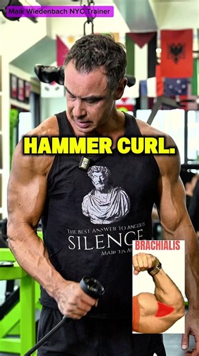 ✔️ Train All 3 Biceps Heads (Most People Miss This)