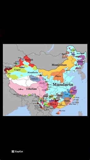 Languages of China 🇨🇳 #mapping #geography #china