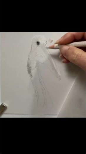 How to Use Paper Tone as a Colour in Coloured Pencil Drawing #artcommunity #art #artinstruction