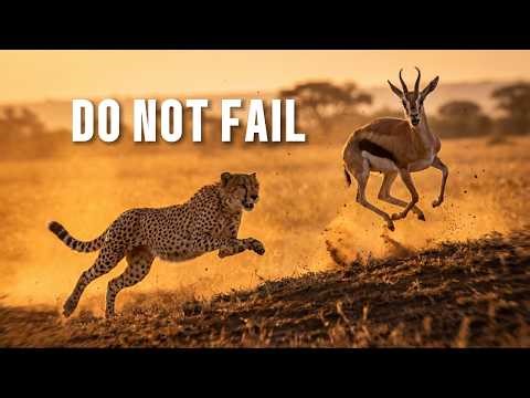 “Cheetah vs Gazelle – The 3 Seconds That Decide Life or Death”