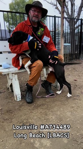 594 reactions · 30 comments | Louisville #A734489 Long Beach Animal...