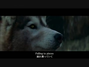 【日英字幕付】David Guetta - She Wolf (Falling To Pieces) ft. Sia