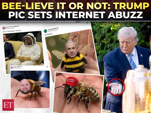 ‘Men are never too old to impress their girl’: Trump’s bee pic sparks memefest | Epic Melania reaction