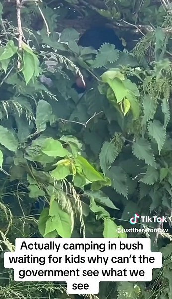 Not here for long (@justtherefornow)’s video of Camping TikTok Videos