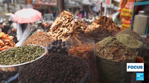 Exploring India's spice route: A thousand-flavour journey through Kerala