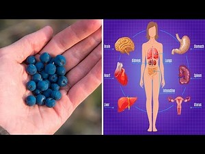 7 Proven Health Benefits of Blueberries