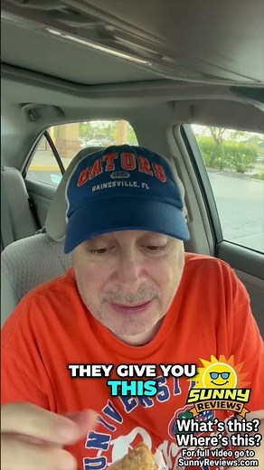 Checkers Fries & Sweet Tea Review: Is The Apple Pie Worth It?