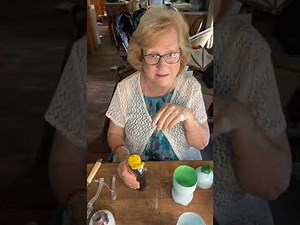 homemade fly trap with bottle