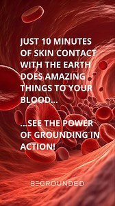 This is an amazing demonstration of what just 10 minutes of skin contact with the ground can do for you and your blood. You will see how it flows better and becomes less sticky. If the body voltage is low, the magnetic field around the red blood cells will be low, allowing clumping and clotting to occur. When we are grounded, the blood cells are able to repel each other and enable the better flow of blood. Blood is a complex fluid. It carries a critical cargo of oxygen, nutrients, metabolic wast