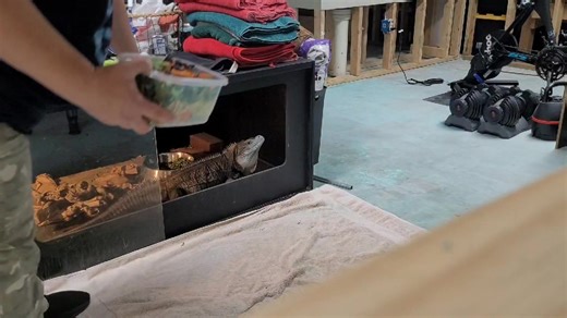 I'm such a goof sometimes.. mornings with sassy Gideon. #blondegatorridesagain #keepsteppingevenwhentheyhateyou #petsitterlife | Cindy Steinle