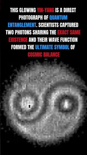 The First Photograph of Quantum Entanglement
