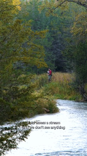 Cool water streams account for less than 28% of all stream miles in Nebraska, but they are still a tremendous resource. 🌊 These streams provide habitat for a variety of aquatic organisms, including native and at-risk species, and angling opportunities for trout. However, they remain extremely vulnerable to climactic changes are are continually threatened by human disturbance as land and water use patterns change over time. Learn how Nebraska Game and Parks manages cool water stream resources by