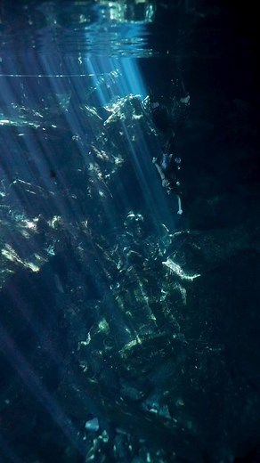 And in my next life, I can say I was a mermaid 🧜‍♀️ #mermaid #siren #mermaidtail tail top and crown made by Merbella Studios Inc. | Mermaid Sirenity