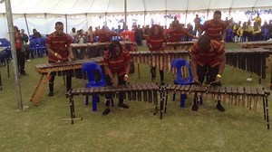 14 reactions | Going down memory lane, the Zimbabwe College of Music making history in South Africa at the Africa International Marimba & Steelpan Festival in 2015 where they came out 1st out of 250 Competitors, here is one of their performances they did at that festival. | Zimbabwe College of Music | Facebook