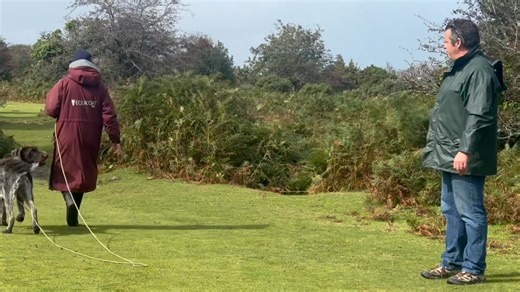 A standard poodle, a working line GSD, a Vizsla and here, a second session for a lovely male GWP, learning that ragging and biting leads and leaping into his owner’s chest is no longer acceptable as he begins his journey into better lead work, stronger recall and a LOT more freedom! So many people are so quick to judge and advise what should and should not be done with dogs, based on THEIR opinions and THEIR experiences. But everyone has a different life and everyone has different needs. Illness