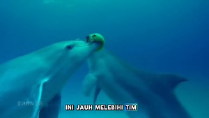 1.2M views · 14K reactions | Kaki Seribu: Dari Senjata Pertahanan...