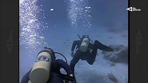 女潜水员遭袭
