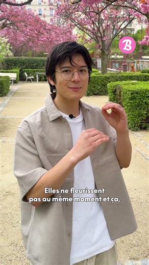 He created an interactive map of cherry blossoms