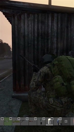 There was a massacre right next to my base #shorts #dayz #romania